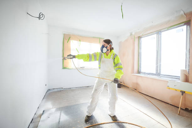 Best Comprehensive Air Testing for Mold Contaminants  in San Miguel, CA
