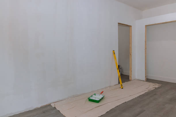 Professional Mold Removal in San Miguel, CA